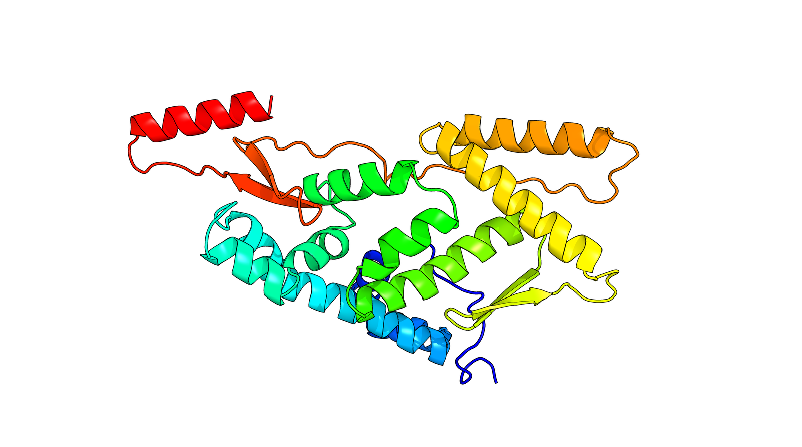 Protein Structure 1